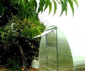 теплицы шестиметровые - вариант 4