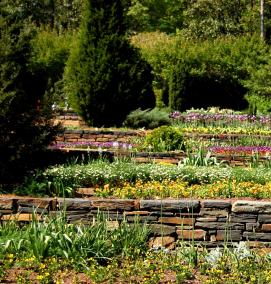 террасные грядки - модель 4