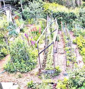 террасные грядки - модель 2