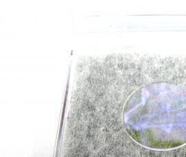 тонкое бревно - вариант 4