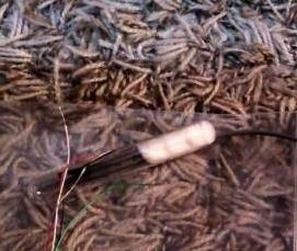 тонкое бревно - вариант 3