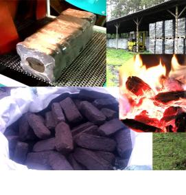 торфяные брикеты для рассады - вариант 3