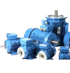 трехфазный асинхронный электродвигатель с фазным ротором - вариант 4