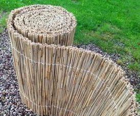 Ђростниковый - тип 1