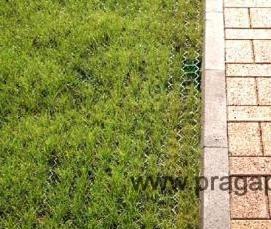 тротуарная плитка 200х100х40 - тип 1