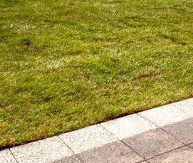 тротуарная плитка черного цвета - тип 3