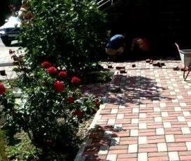 тротуарная плитка калифорния дерево - вариант 3