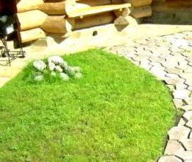 тротуарная плитка под камень - вариант 3