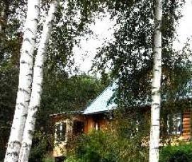 уборка и вывоз мусора с дачного участка - модель 4