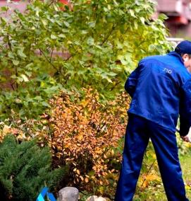 уборка территории частного дома - тип 2