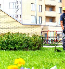 уборка территории на даче - тип 1