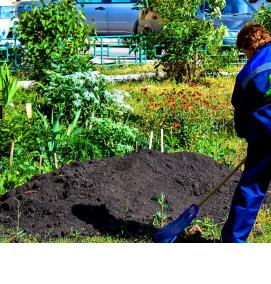 уборка территории на даче - тип 4