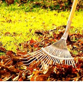 уборка территории на даче - тип 3