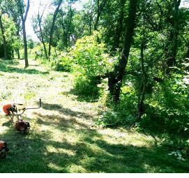 уборка территории: покос травы - вариант 4