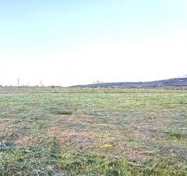 уборка территории: покос травы - вариант 3