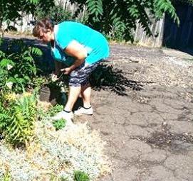 уборка территории: покос травы - вариант 2