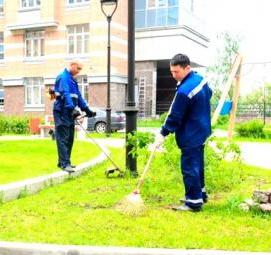 уборка территории в ДОУ - тип 3