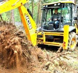 удаление кустарников - вариант 2