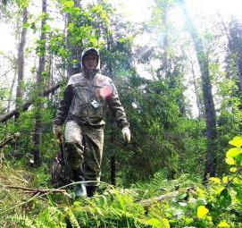 удаление сухостойных буреломных ветровальных деревьев - модель 3