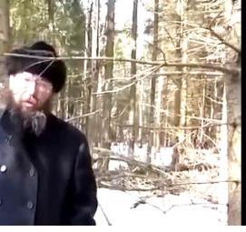 удаление сухостойных буреломных ветровальных деревьев - модель 2