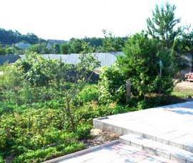 укладка тротуарной плитки на даче - вариант 4