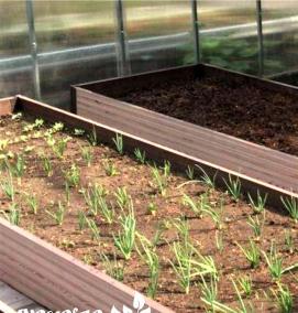 укрытие для грядок - тип 1