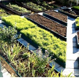 укрытие для грядок - тип 2