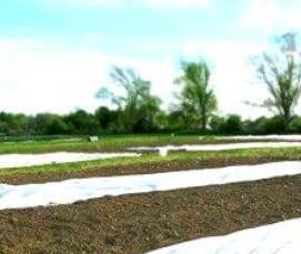 укрывные теплицы - тип 1