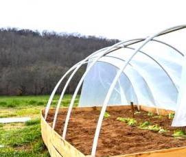 укрывные теплицы - тип 4