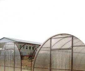 усиленная теплица из поликарбоната - вариант 3