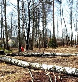 установки навесные для дробления растительности в щепу - вариант 3