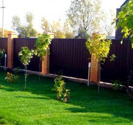 устройство садовых дорожек - модель 1