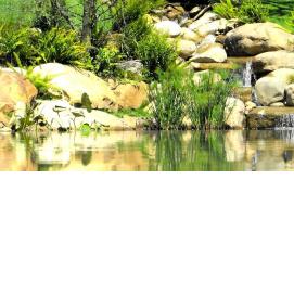 устройство водоемов - тип 4