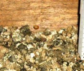 утепление вермикулитом - модель 3