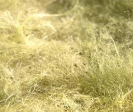 утеплитель 1000х600х50 - вариант 1