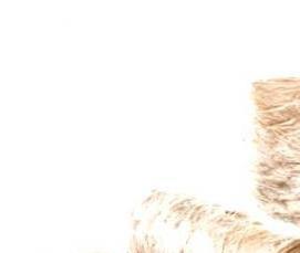 утеплитель 10 мм - тип 2