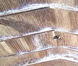 утеплитель комнаты - модель 4