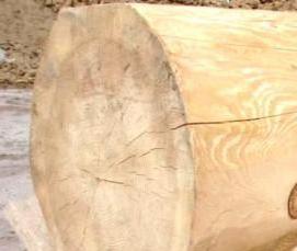 утеплитель между бревнами - модель 1