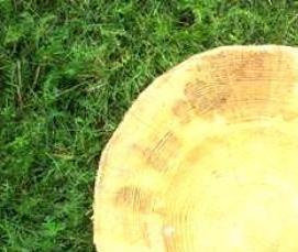 утеплитель между бревнами - модель 2