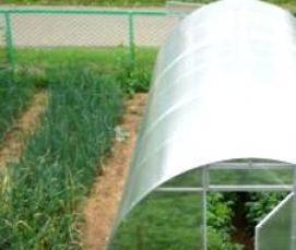 узкие теплицы из поликарбоната - модель 4