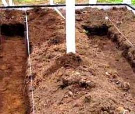 узкие теплицы из поликарбоната - модель 2