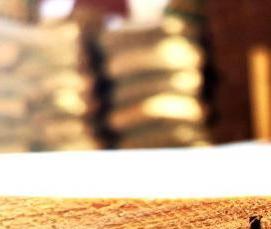 Вагонка Ель - модель 1