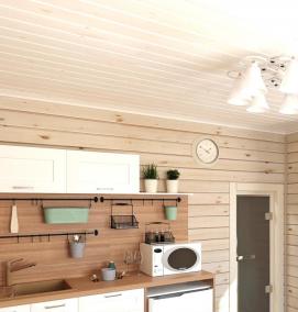 Вагонка на даче - вариант 4