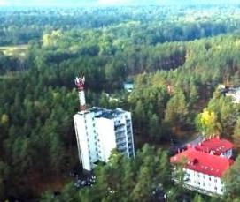 Вагонка Русский лес - модель 1