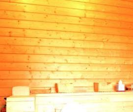 Вагонка в ванной - вариант 4