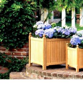 Вазон для замиокулькаса - модель 1