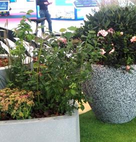 Вазон для замиокулькаса - модель 4