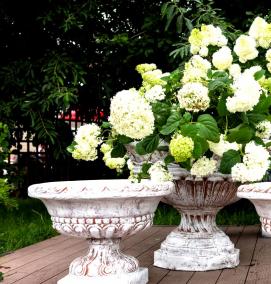 Вазон для замиокулькаса - модель 2