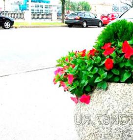 Вазон глобус - вариант 3