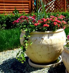 Вазон на подоконник - вариант 2